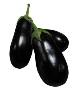 Brinjal