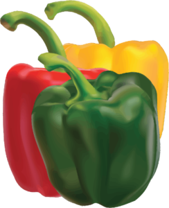 Capsicum