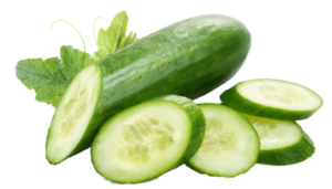 Cucumber