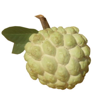 Custard Apple