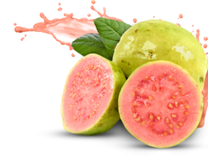 Guava