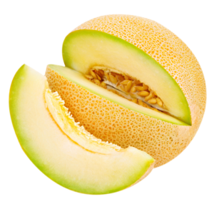 Muskmelon