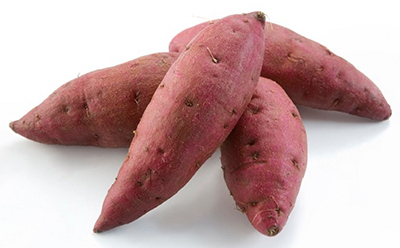 Sweet Potato