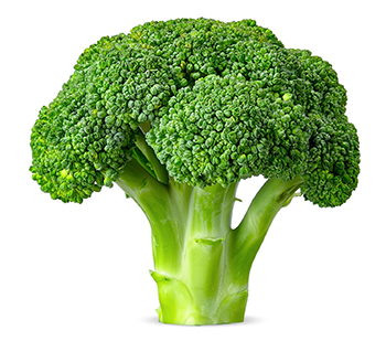 Broccoli